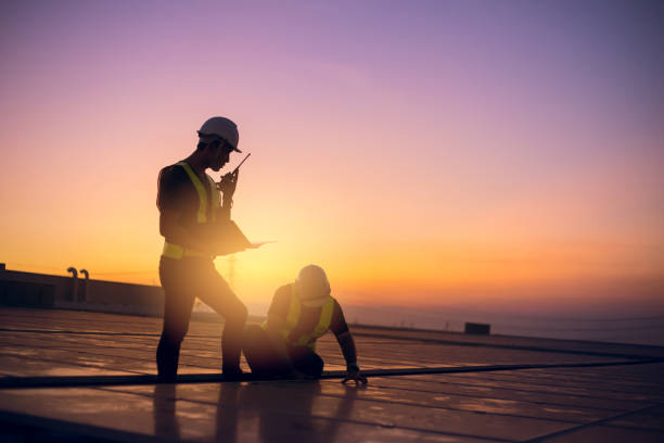 Roof Gutter Cleaning in Dunlap, IL
