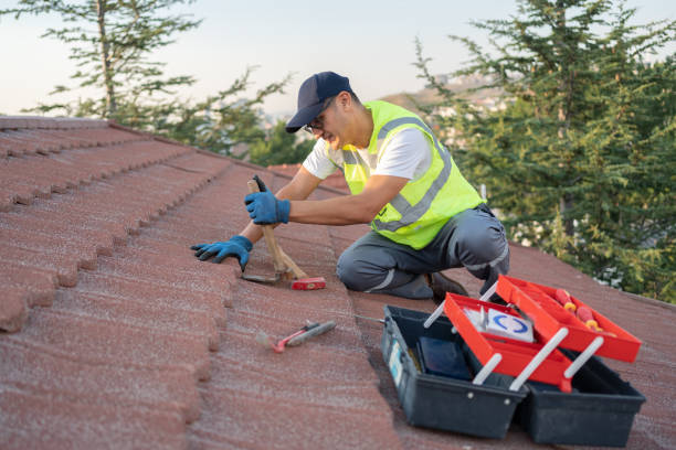 Best Residential Roofing Contractor  in Dunlap, IL
