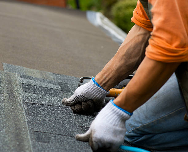Best Commercial Roofing Services  in Dunlap, IL